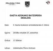 GAZTA AZOKAKO BATZORDEA - DEIALDIA